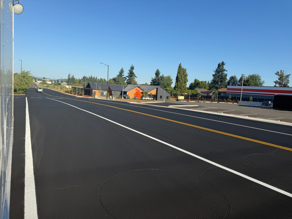 Road and traffic lane markings